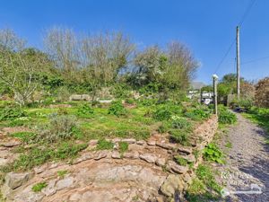 Garden- click for photo gallery